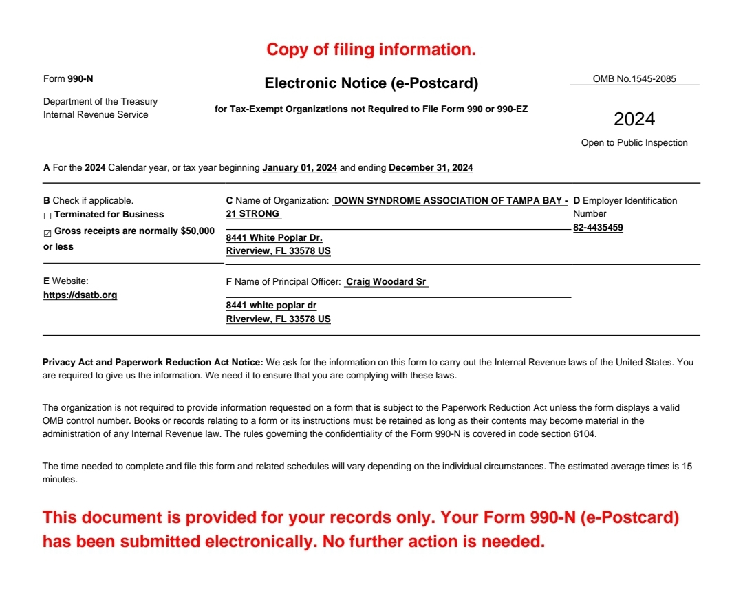 2024 DSATB Financial Report